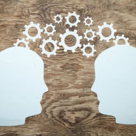 Knowledge Tree - Ending Employment in MEP
